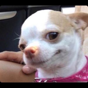 Meet your Posher, Abraham